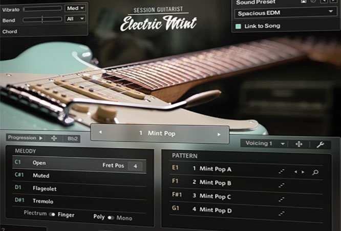 复古电吉他 Native Instruments Session Guitarist Electric Mint v1.1.0-251编曲网