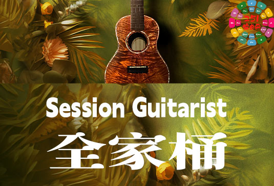 Native Instruments Session Guitarist （全家桶）-251编曲网