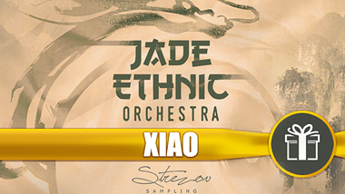 Strezov Sampling JADE Ethnic Orchestra Xiao Free 箫笛音色-251编曲网