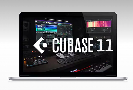 Steinberg Cubase Pro 11 编曲录音DAW宿主软件-251编曲网