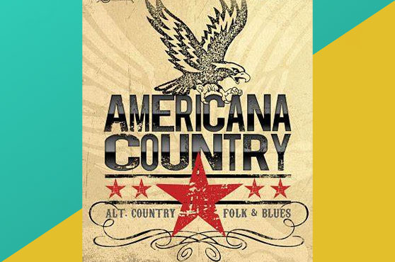 乡村风格音源 Big Fish Audio Americana Country-251编曲网