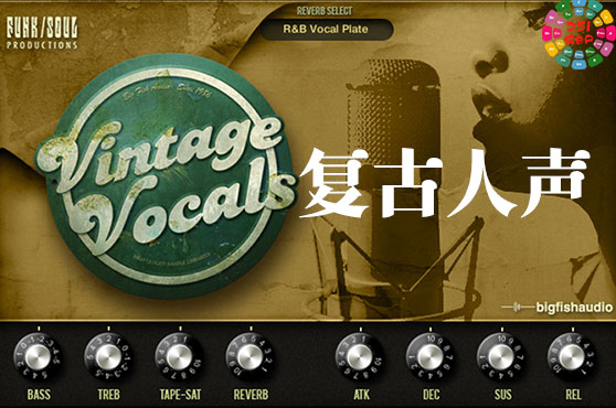 复古人声 Big Fish Audio Vintage Vocals 康泰克音源-251编曲网