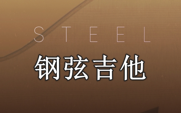 钢弦吉他 Evolution Series Prepared Colors Steel-251编曲网