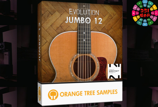 12弦原声大吉他 Orange Tree Samples Evolution Jumbo 12-251编曲网