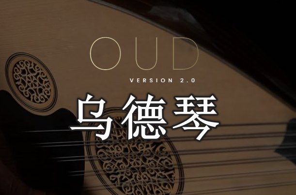 乌德琴 Evolution Series World Strings Oud-251编曲网