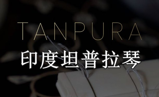 印度坦普拉琴 Evolution Series World Strings Tanpura v1.0.0-251编曲网