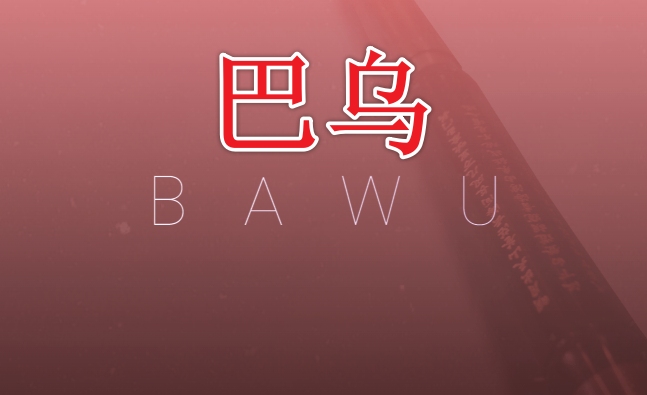 中国民乐巴乌 Evolution Series World Colors Bawu 2.0-251编曲网