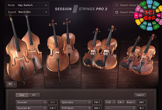 现代弦乐合奏音色 Native Instruments Session Strings Pro 2 v1.0.5-251编曲网