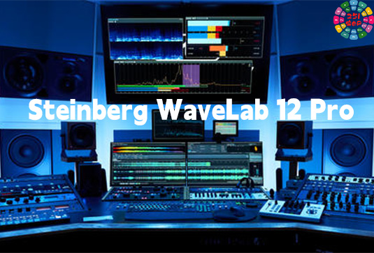 播客音频编辑软件 Steinberg WaveLab 12 Pro v12.0.20 R2R Win-251编曲网