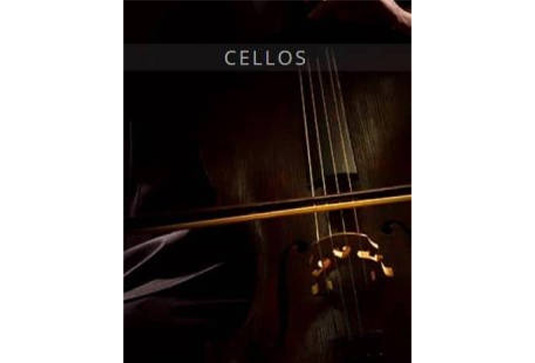 大提琴音源 Auddict United Strings of Europe Cellos-251编曲网