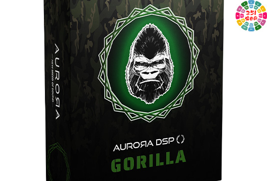 贝司放大器 Aurora DSP Gorilla v1.0.0-251编曲网