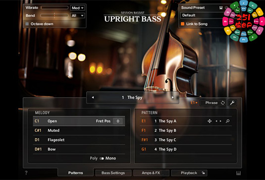 立式原声贝司 Native Instruments Session Bassist Upright Bass-251编曲网