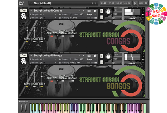 邦戈鼓和康加鼓 Straight Ahead Samples SA! Bongos & Congas-251编曲网