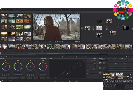 专业视频剪辑软件 Blackmagic Design DaVinci Resolve Studio v19.0.1 R2R Win-251编曲网